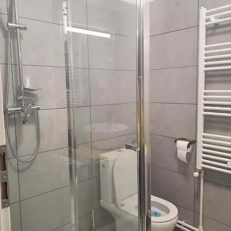 Апартаменти Basarab 1 *